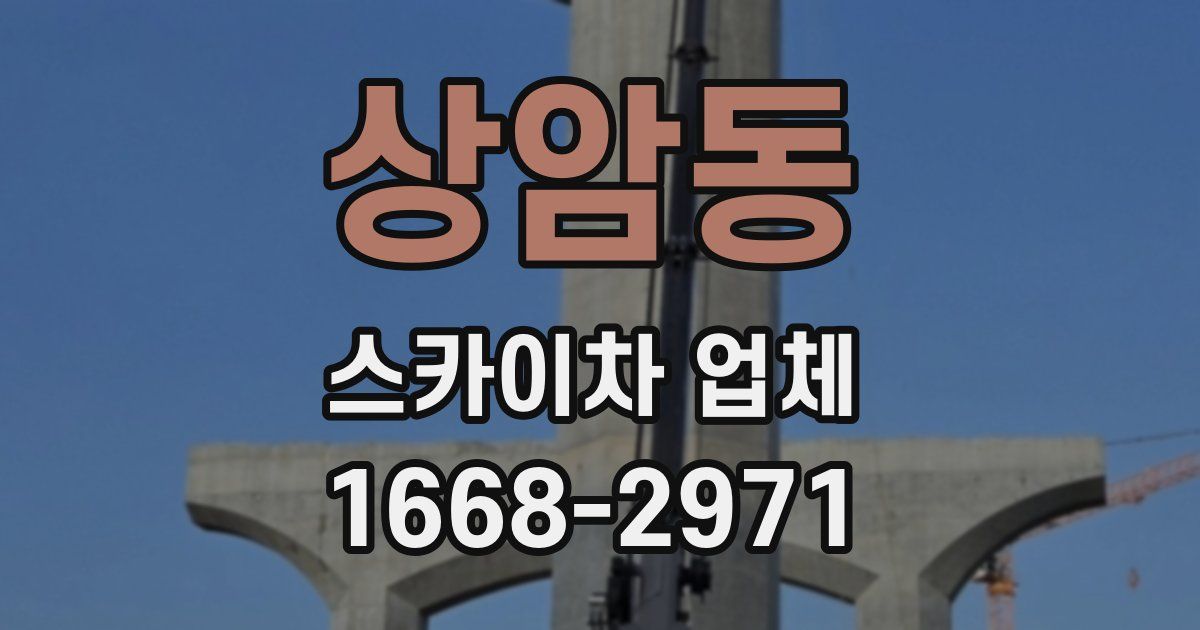 상암동 스카이차 업체