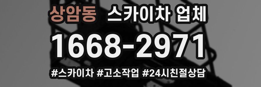 상암동 스카이차 업체