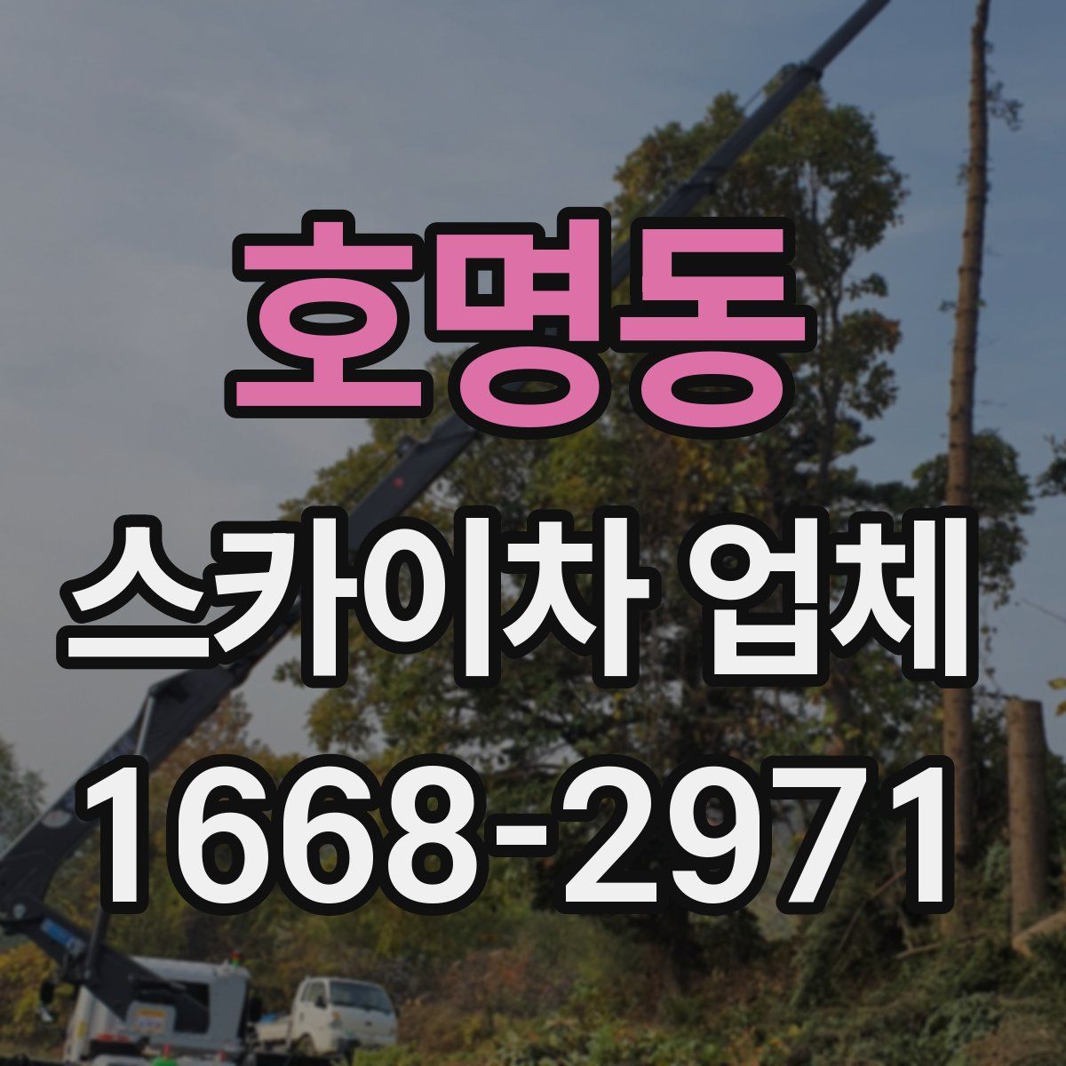 호명동 스카이차 업체