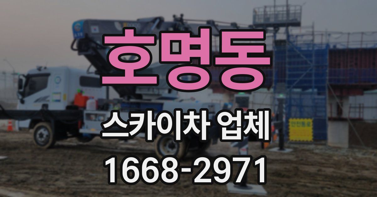 호명동 스카이차 업체