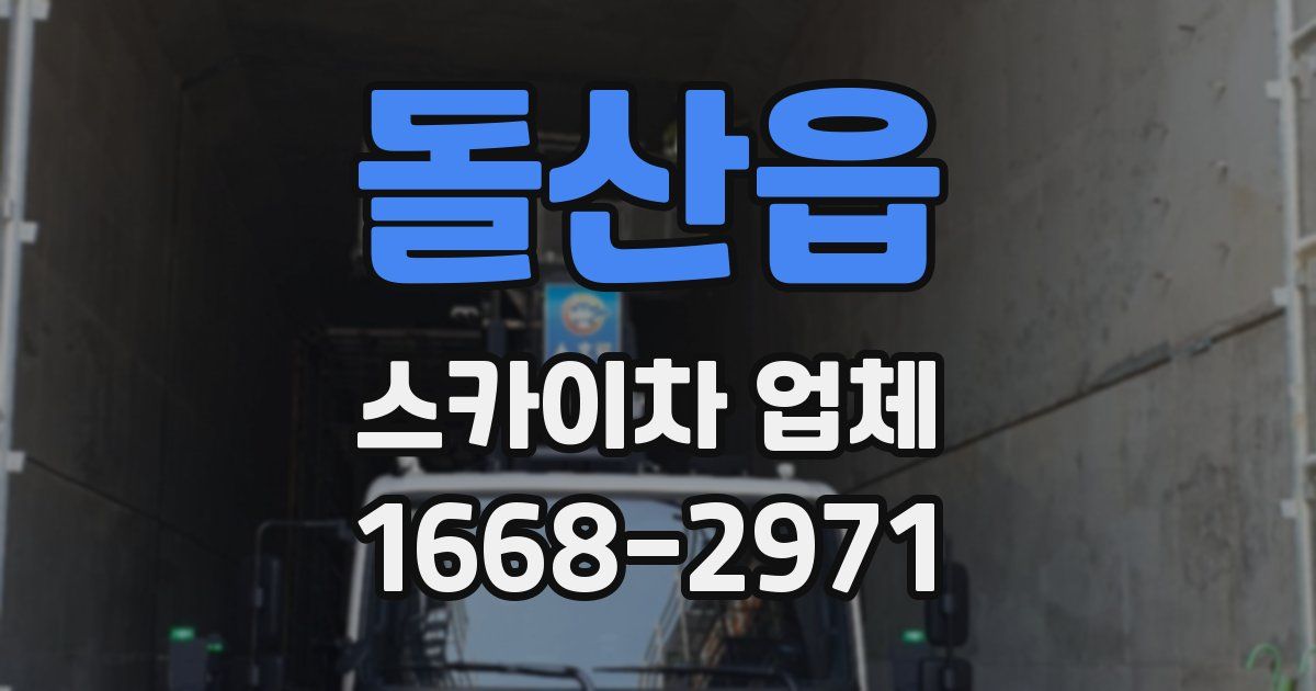 돌산읍 스카이차 업체