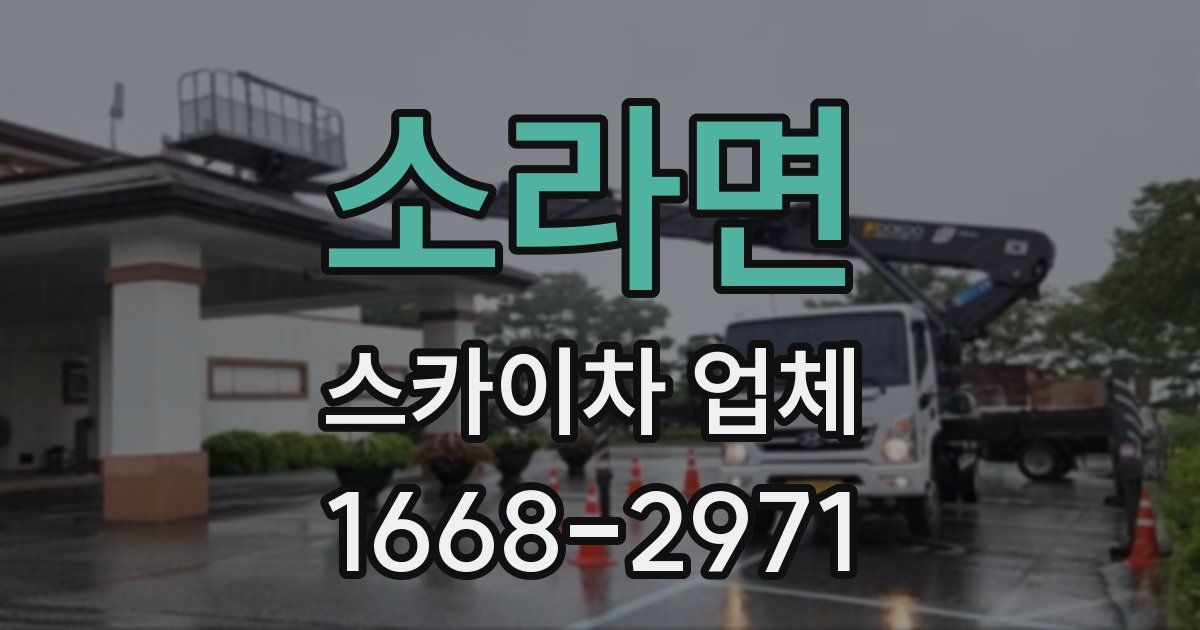 소라면 스카이차 업체