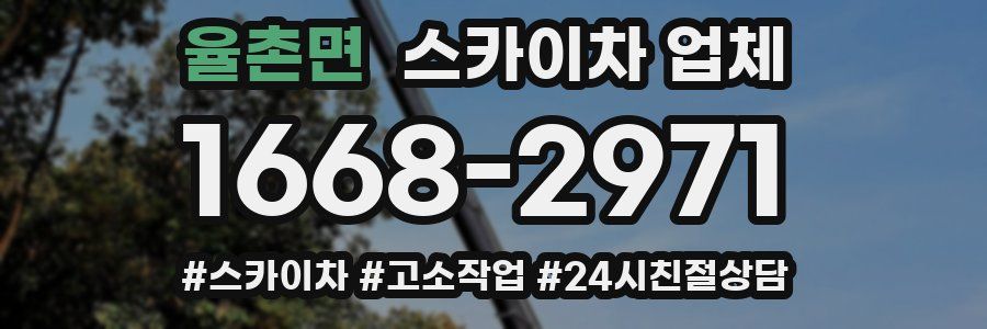율촌면 스카이차 업체