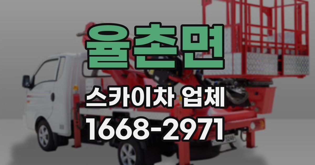 율촌면 스카이차 업체