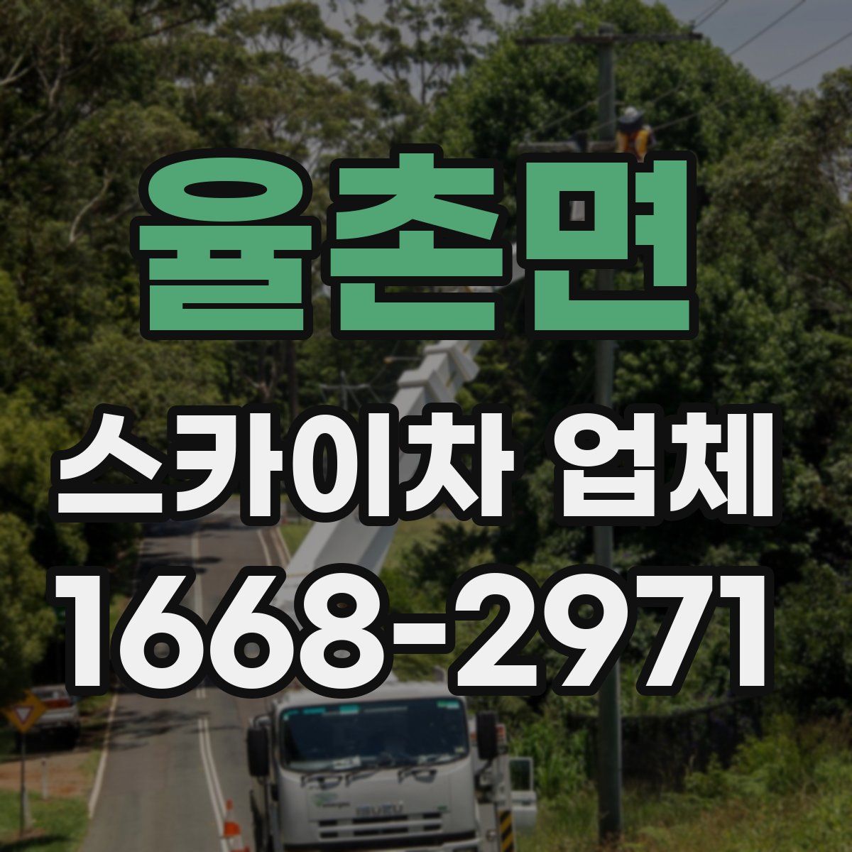 율촌면 스카이차 업체