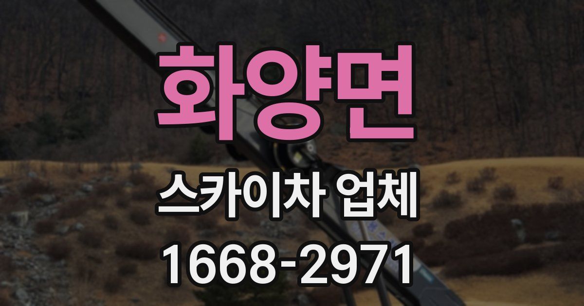 화양면 스카이차 업체