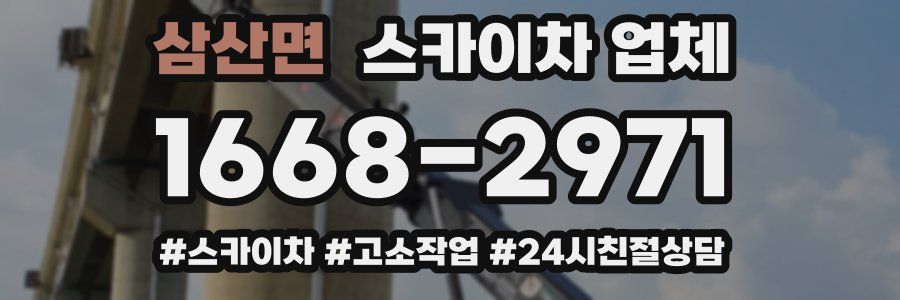 삼산면 스카이차 업체