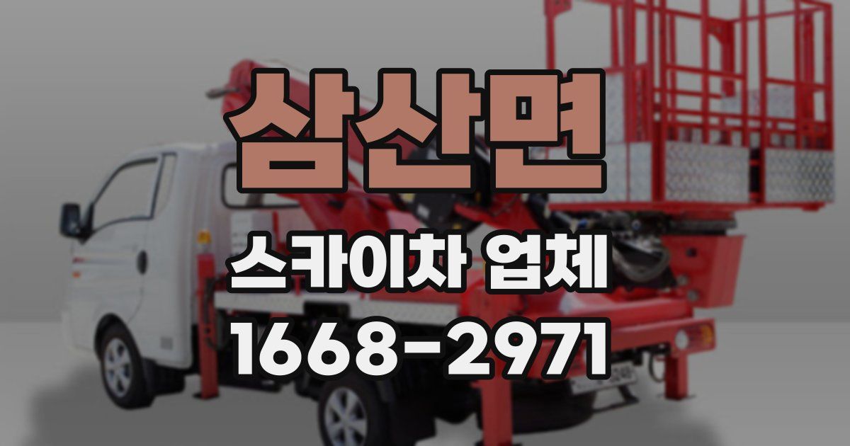 삼산면 스카이차 업체