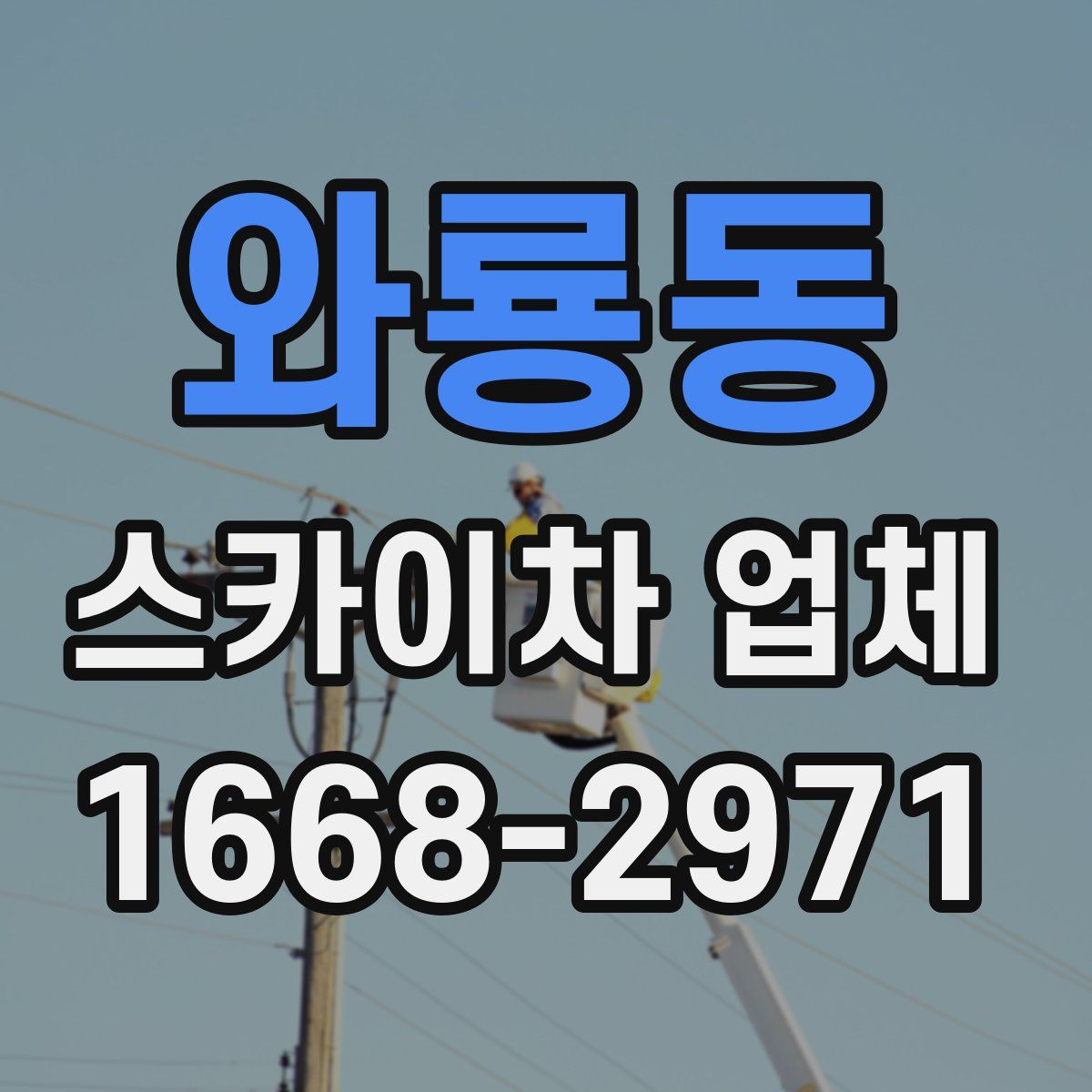 와룡동 스카이차 업체