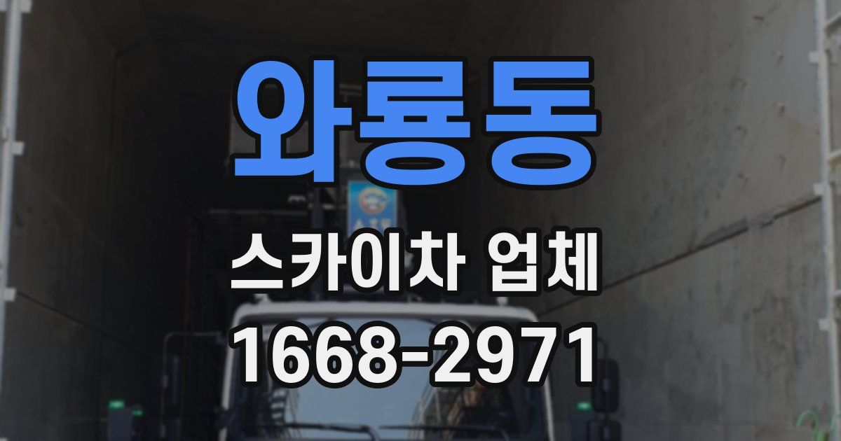 와룡동 스카이차 업체