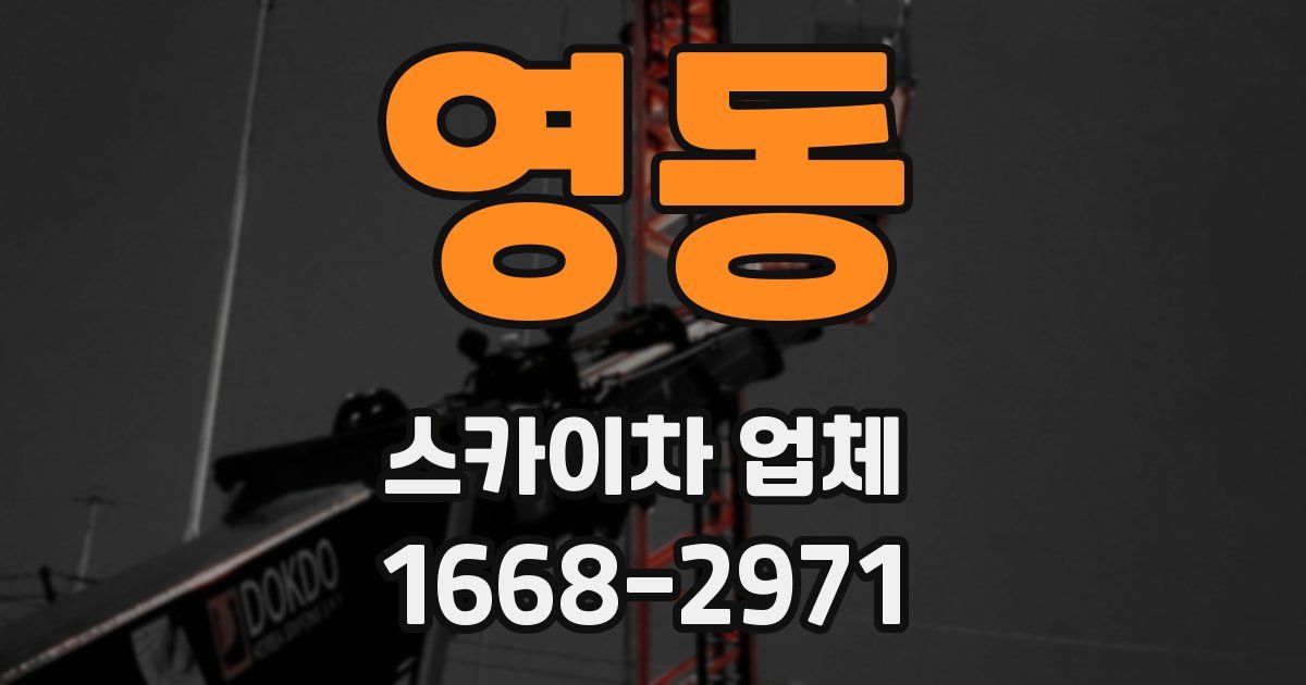 영동 스카이차 업체