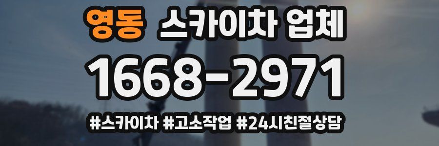 영동 스카이차 업체
