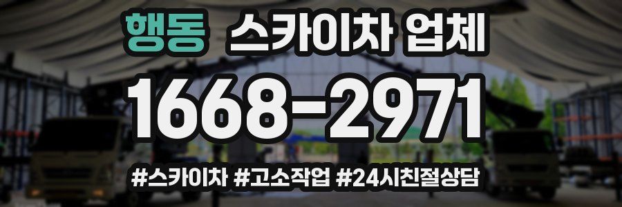 행동 스카이차 업체