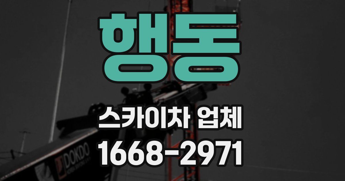행동 스카이차 업체