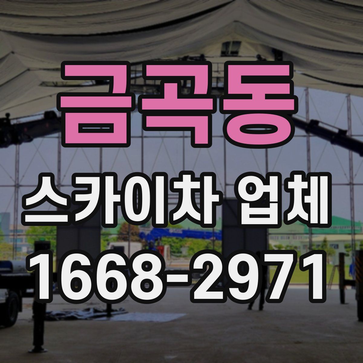 금곡동 스카이차 업체
