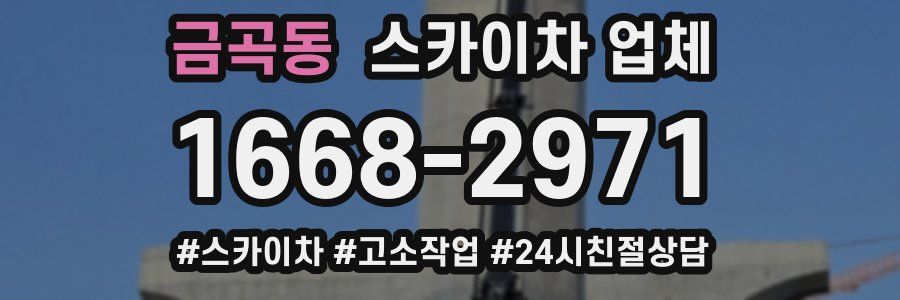 금곡동 스카이차 업체
