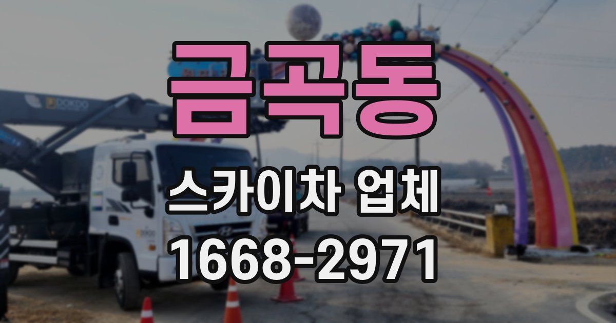 금곡동 스카이차 업체