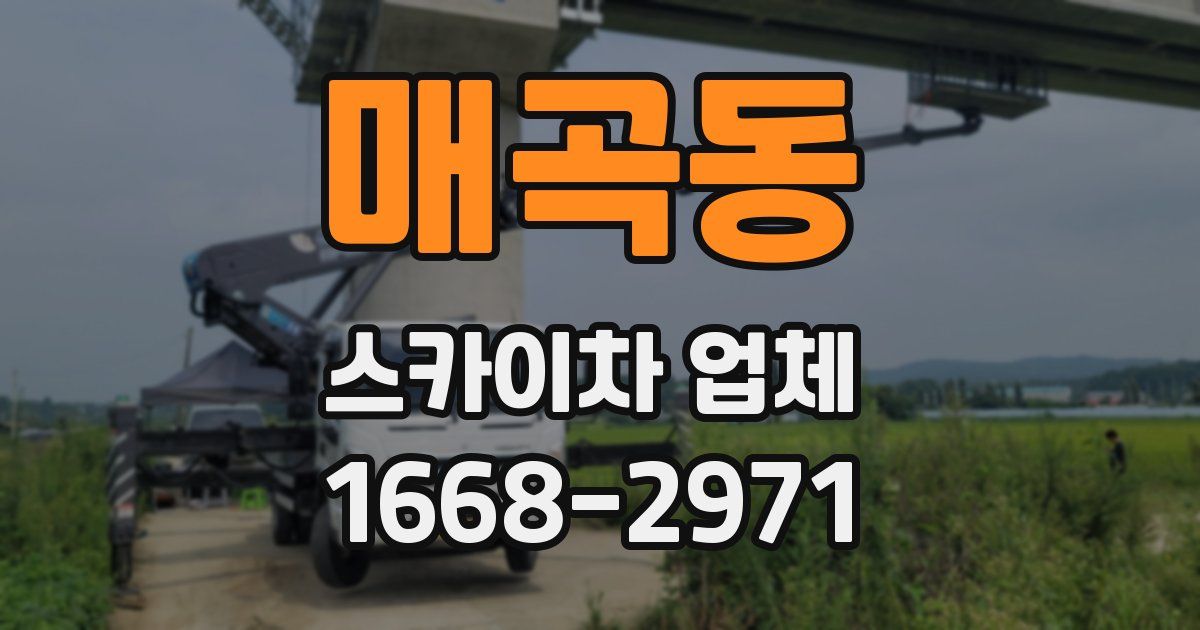 매곡동 스카이차 업체