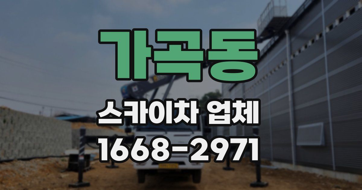 가곡동 스카이차 업체