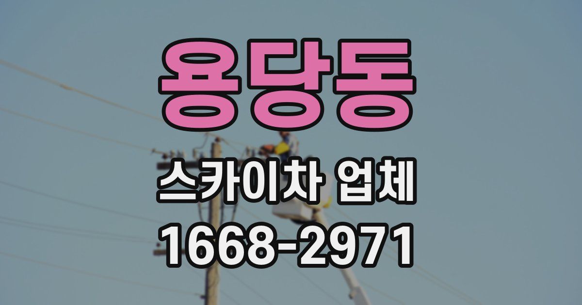 용당동 스카이차 업체