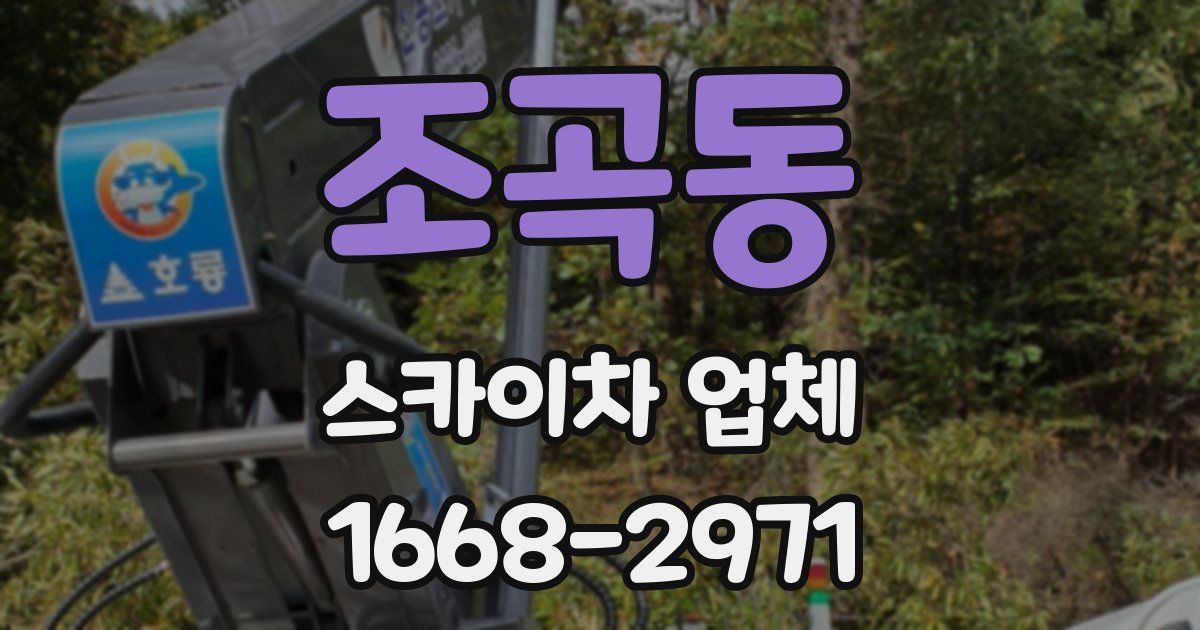 조곡동 스카이차 업체