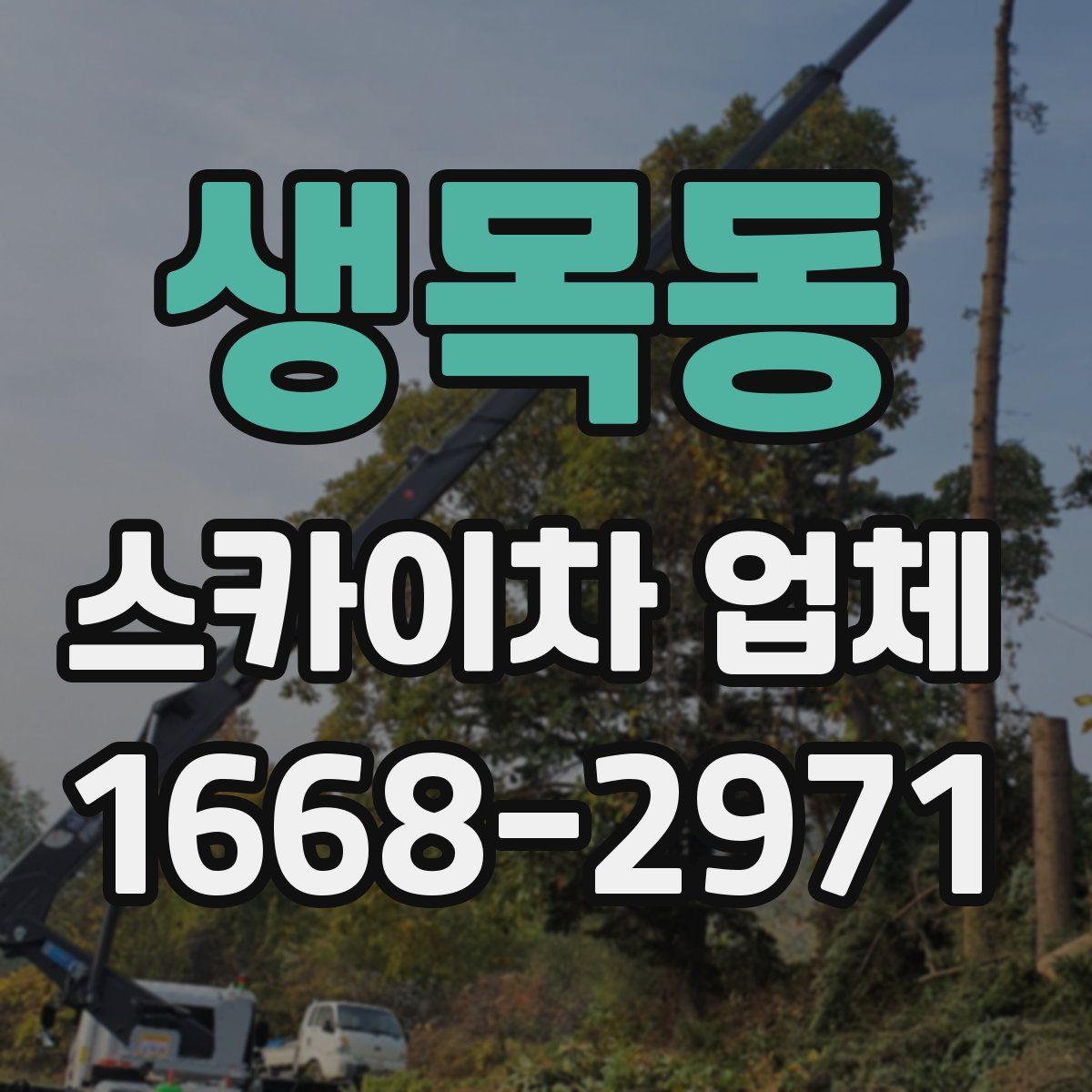 생목동 스카이차 업체