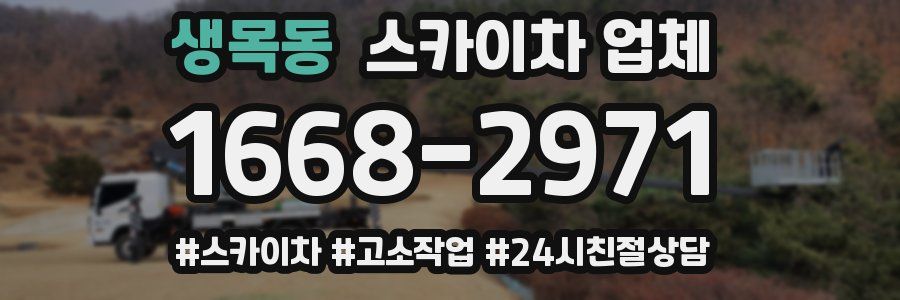 생목동 스카이차 업체
