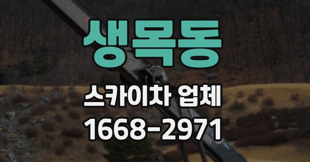 생목동 스카이차 업체