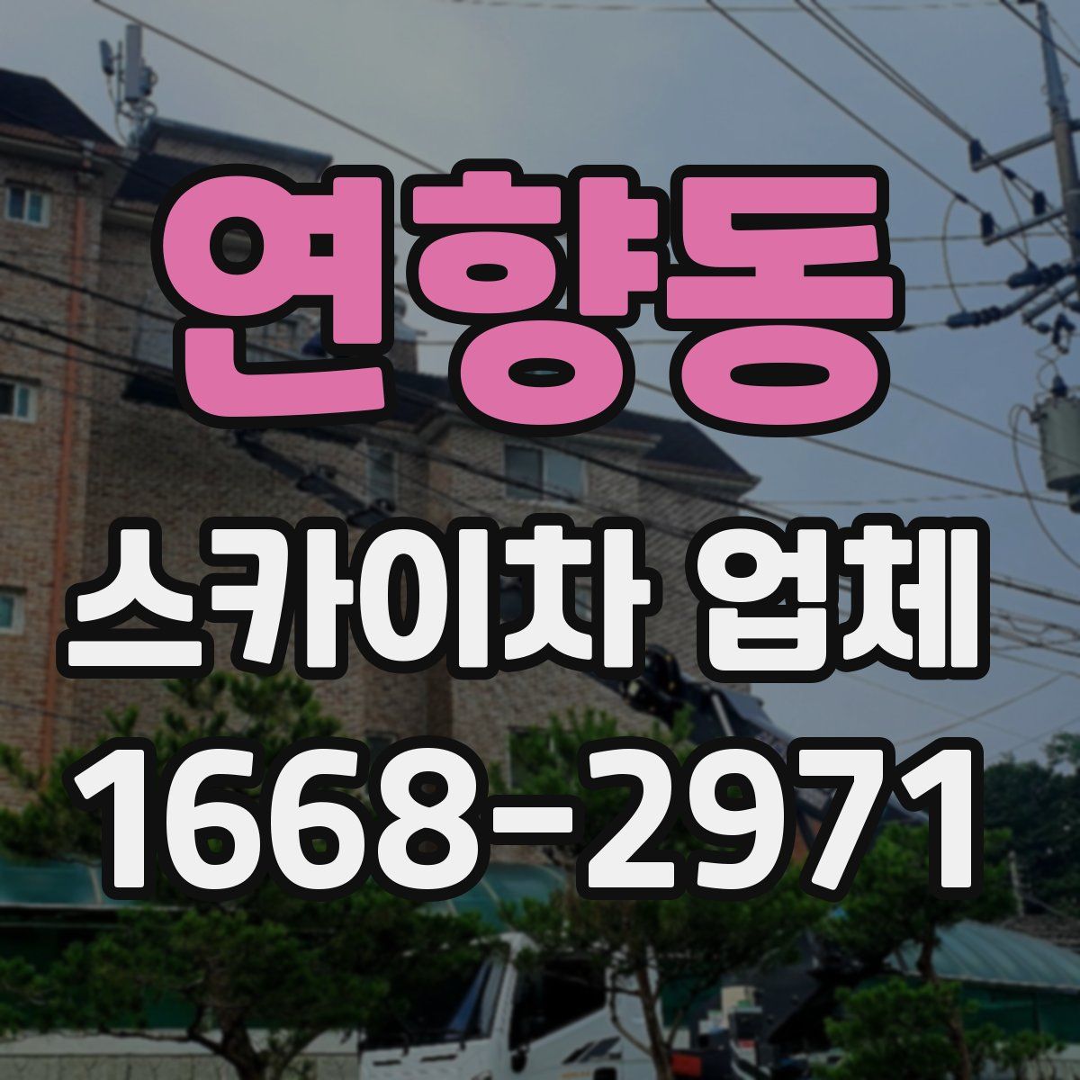 연향동 스카이차 업체