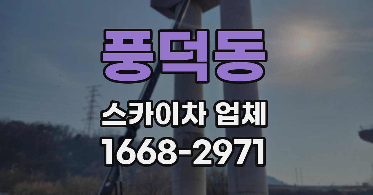 풍덕동 스카이차 업체