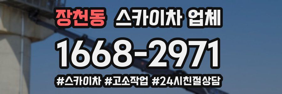 장천동 스카이차 업체