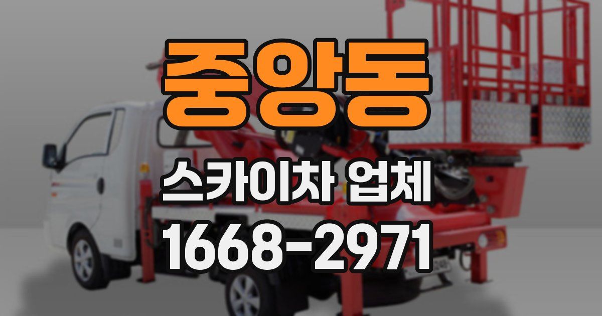 중앙동 스카이차 업체