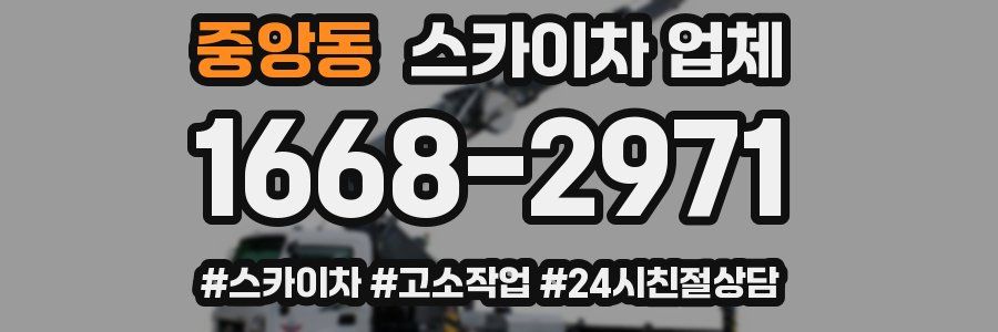 중앙동 스카이차 업체