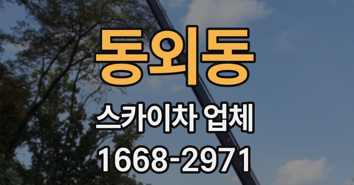동외동 스카이차 업체