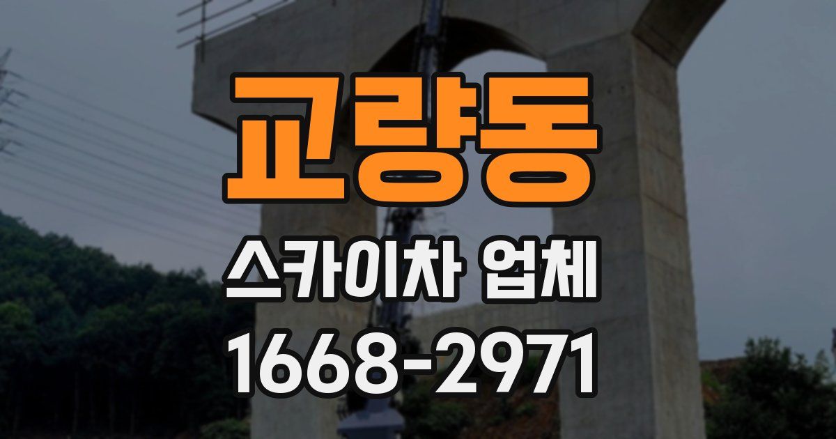 교량동 스카이차 업체