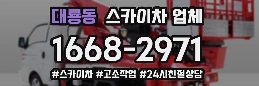 대룡동 스카이차 업체