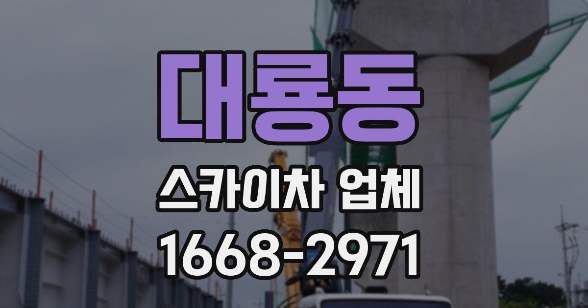 대룡동 스카이차 업체