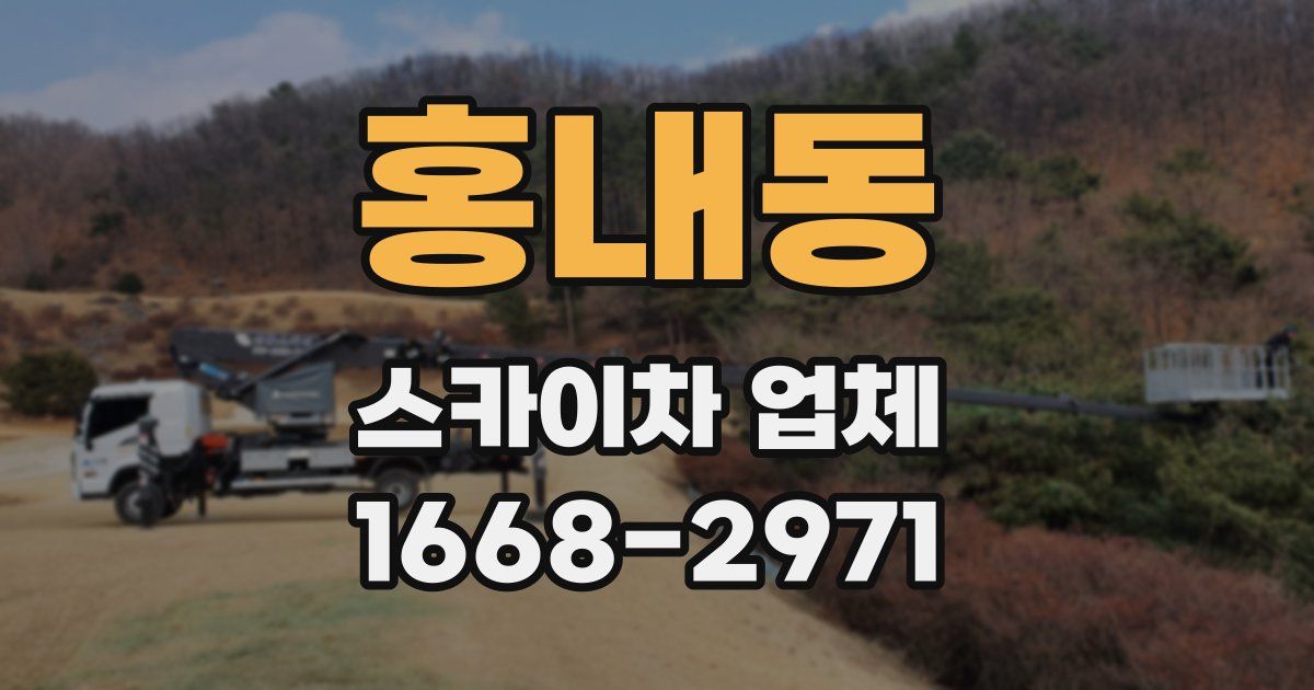 홍내동 스카이차 업체