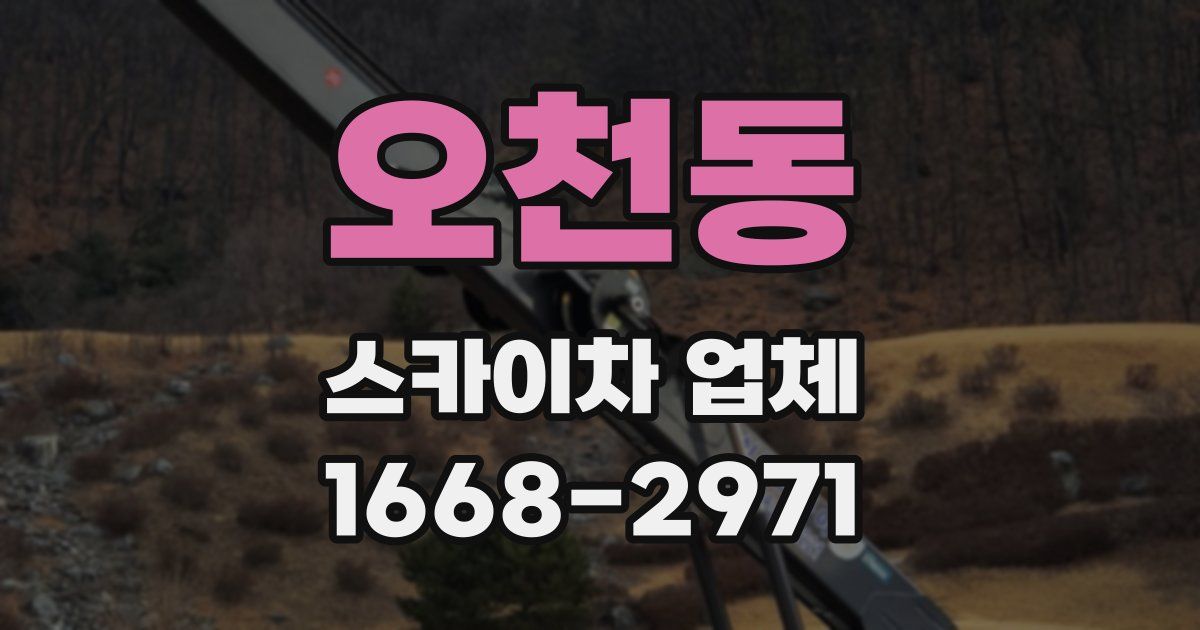 오천동 스카이차 업체