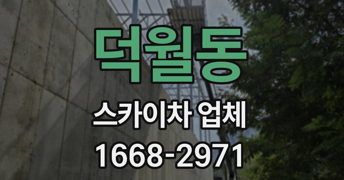 덕월동 스카이차 업체
