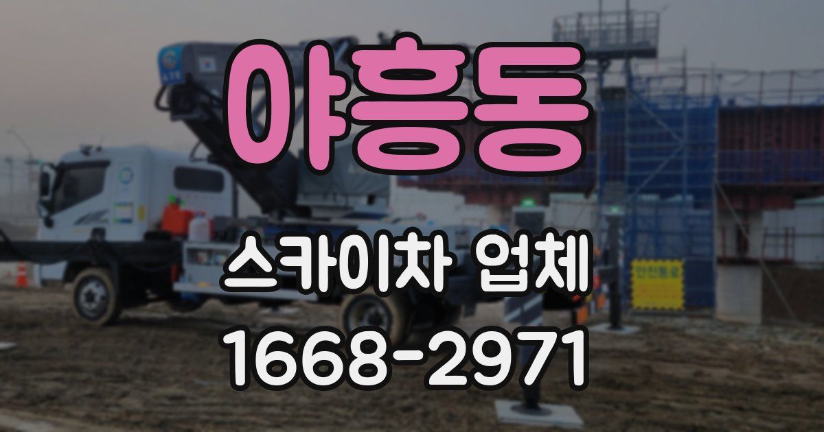 야흥동 스카이차 업체