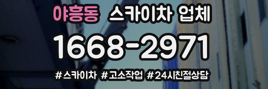 야흥동 스카이차 업체