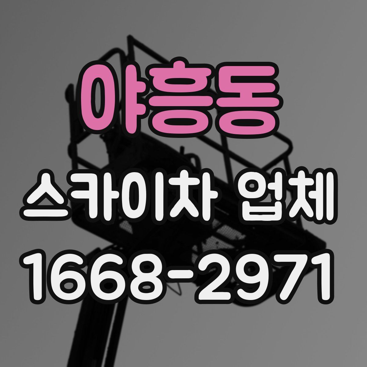 야흥동 스카이차 업체