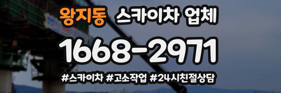 왕지동 스카이차 업체