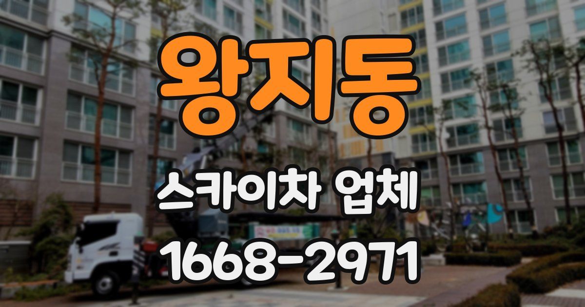 왕지동 스카이차 업체