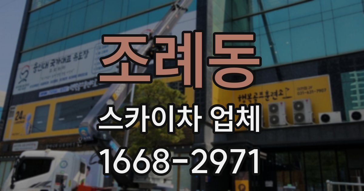 조례동 스카이차 업체