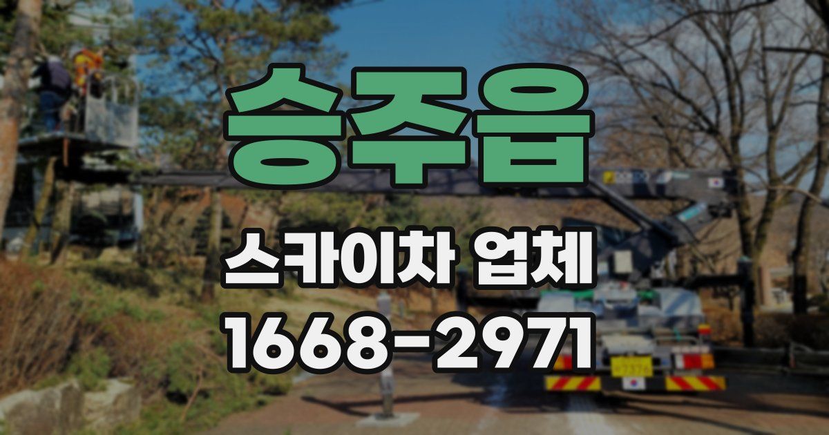 승주읍 스카이차 업체