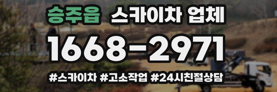 승주읍 스카이차 업체