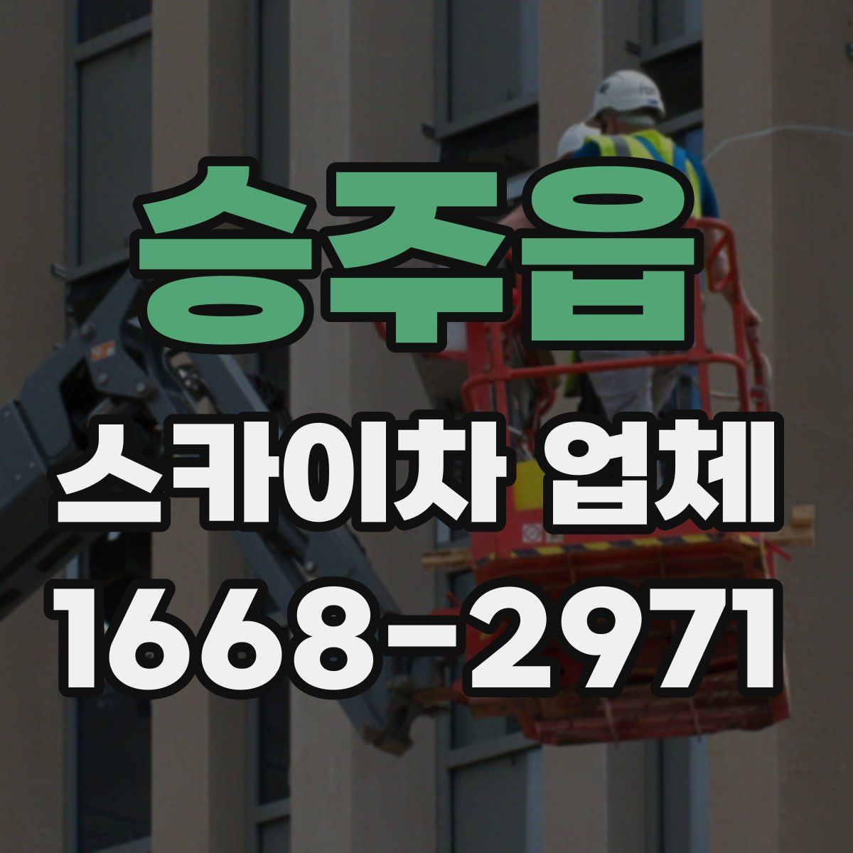 승주읍 스카이차 업체
