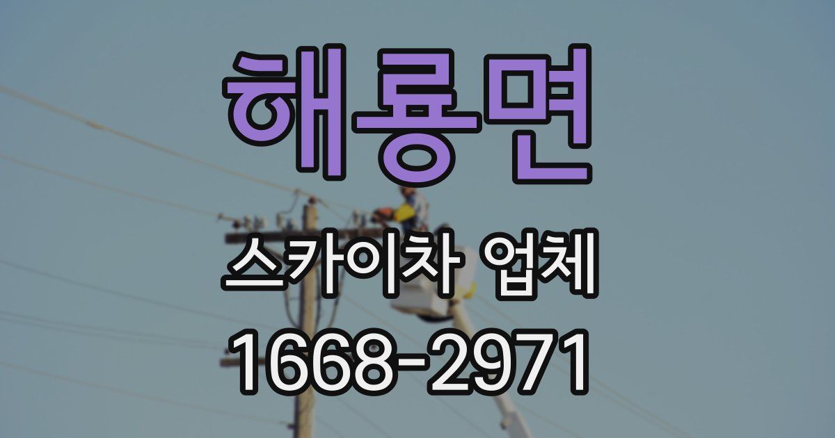 해룡면 스카이차 업체